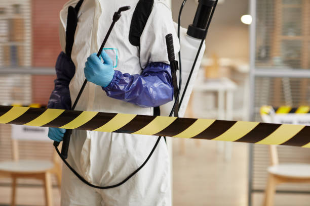 Professional Sewage Cleanup technician working in Sauk Rapids, MN